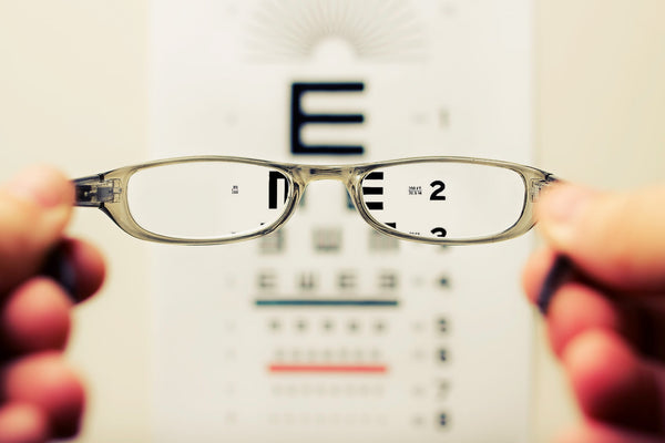 Brain and Vision