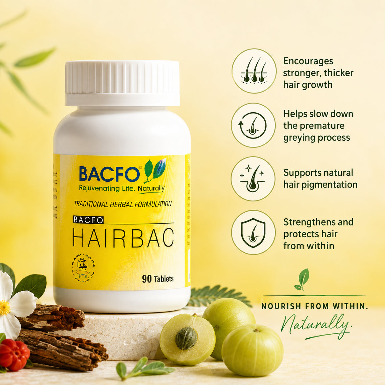 Hairbac (6 Pack)